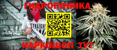 хмурый Малоярославец