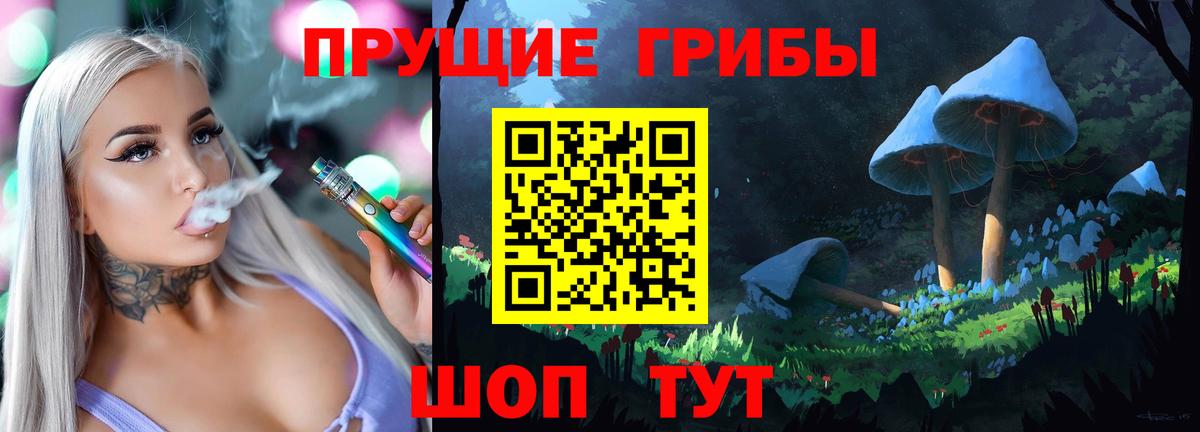 купить наркотик  Псилоцибиновые грибы Psilocybe  Вход с VPN  Вязники 